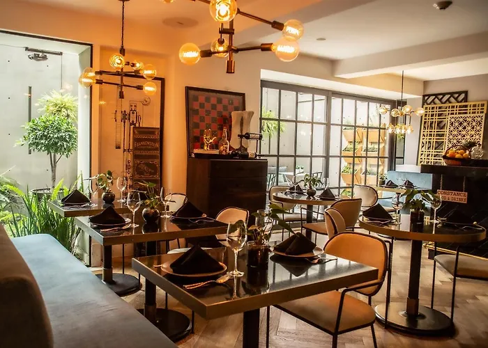 The Wild Oscar Hotel Mexico City