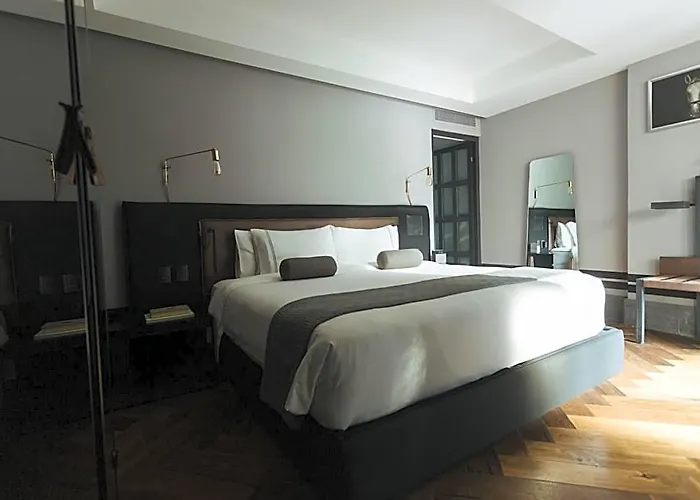 The Wild Oscar 5* Mexico City